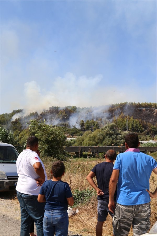 Antalya'da Orman Yangınları