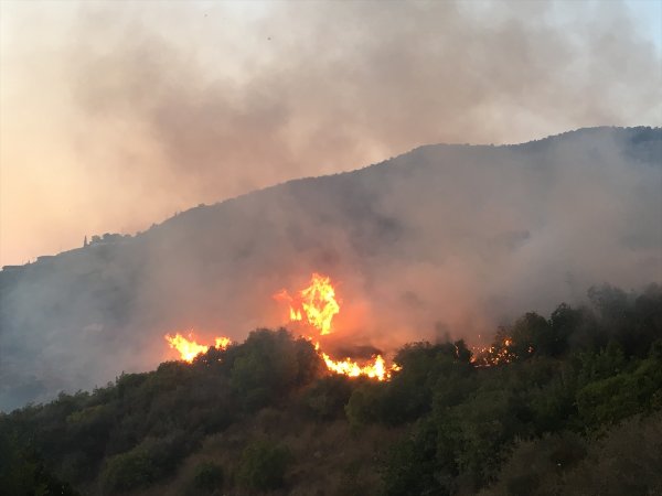 Antalya'da Yangın