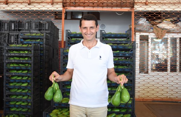 Antalya'dan Bulgaristan'a Avokado İhracatı