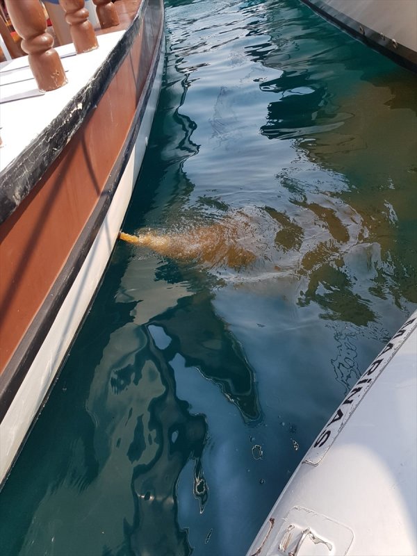 Denizi Kirleten 2 Gemiye 35 Bin 176 Lira Ceza Uygulandı