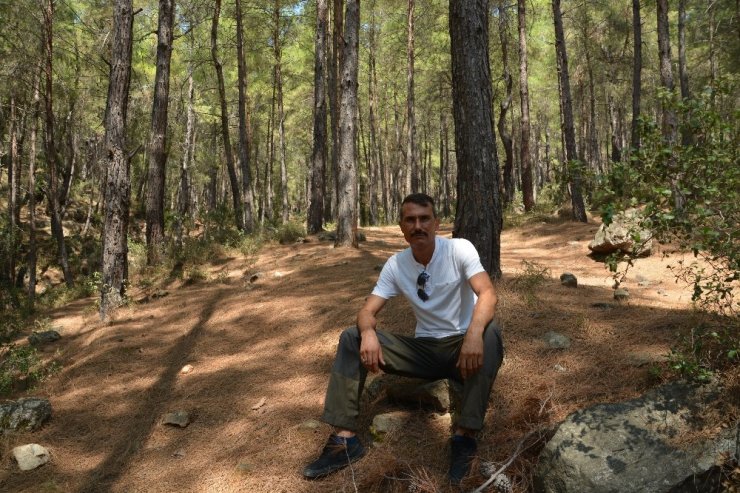 Mersin’de Vaşak Görüntülendi