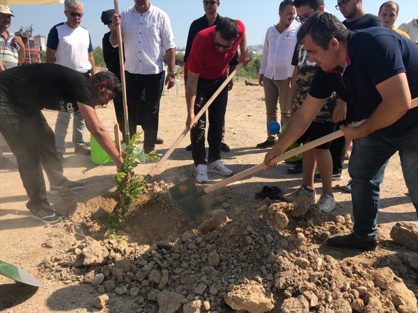 Mersin'de Şehitler Anısına Fidan Dikildi