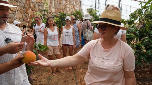 Rus Turistler, Mangoya Hayran Kaldı