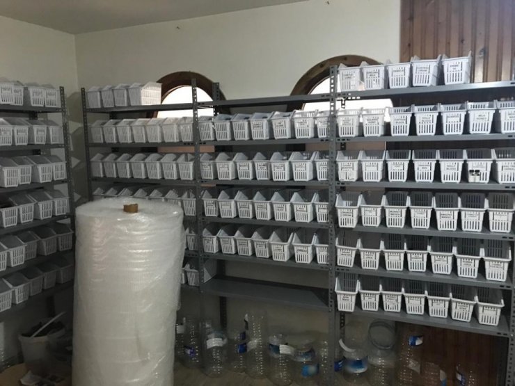 Antalya’da Kaçak Elektronik Sigara İmalathanesi Ele Geçirildi