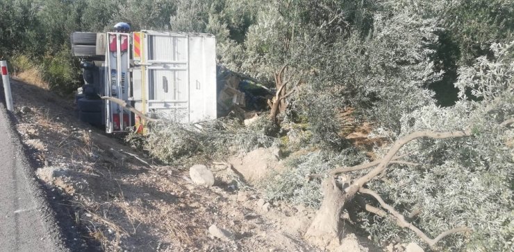 Mut Karaman Yolunda Üzüm Yüklü Kamyon Devrildi: 1 Yaralı