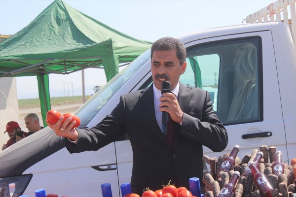 Karapınar'da Domates Hasadı Etkinliği Yapıldı