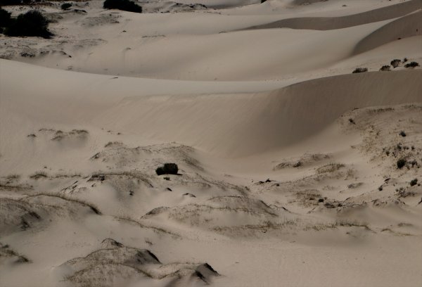 Kum Tepeleriyle Ünlü Patara, Carettaların Da Yuvası