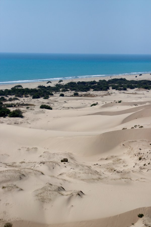 Kum Tepeleriyle Ünlü Patara, Carettaların Da Yuvası