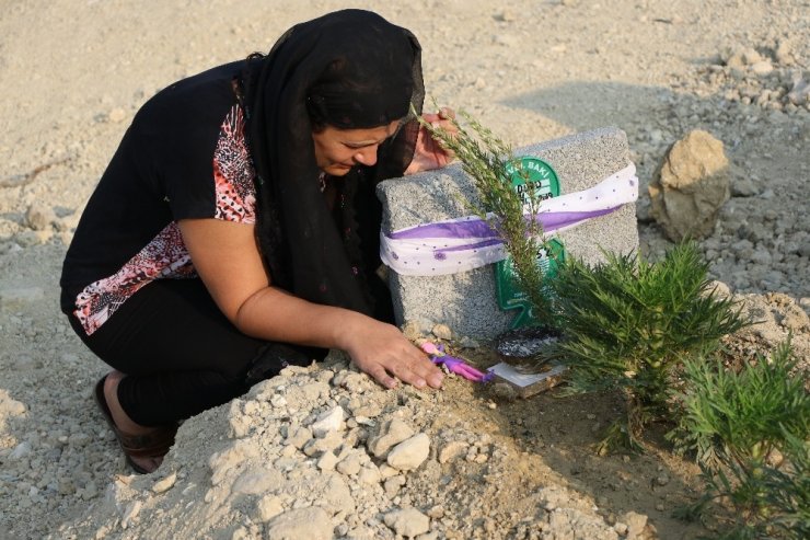Mersin'de Restoranda Doğum Günü Faciaya Dönüştü