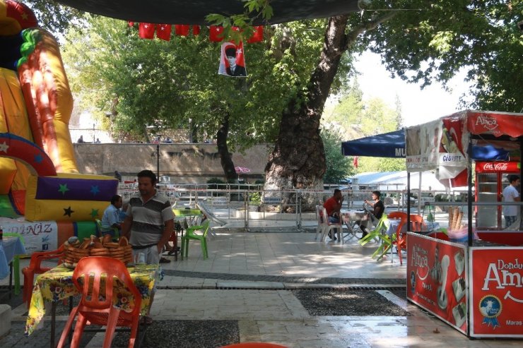 Mut'ta Anıt Ağaç Zararlı Böceğe Teslim Oldu