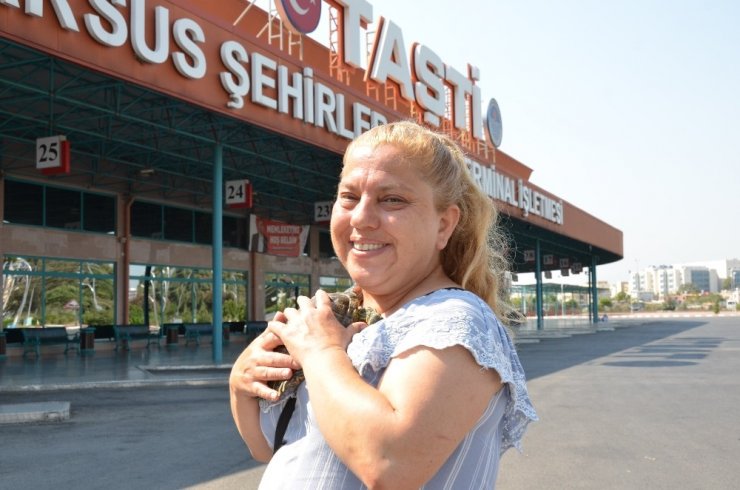 Kaybettiği Kaplumbağasına 4 Gün Sonra Kavuştu, Mutluluktan Uçtu