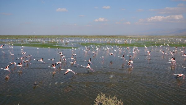 Rehabilite Edilen Gölet Kuş Sesleriyle Şenleniyor