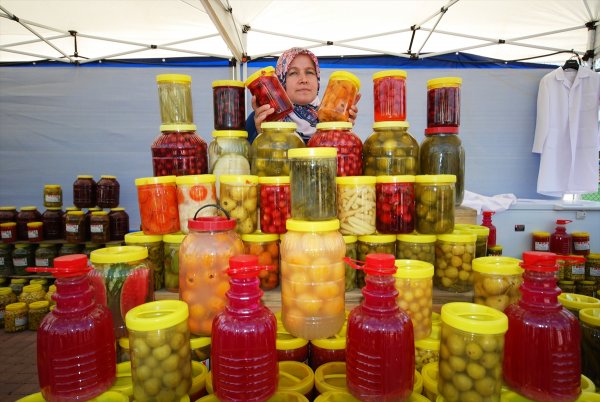 Uluslararası Çubuk Turşu Ve Kültür Festivali Başladı