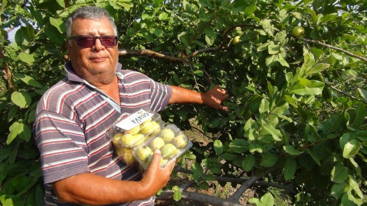 Kilosu 6 Lira, Her Derde Deva