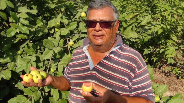 Kilosu 6 Lira, Her Derde Deva