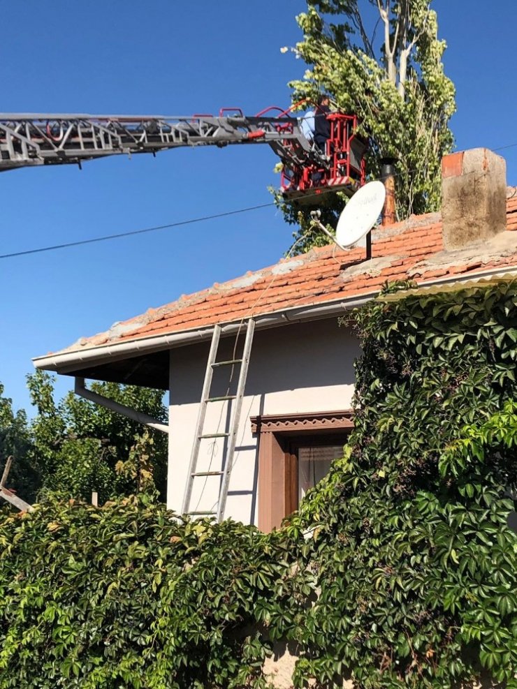 Ağaç Budarken Kafası İpe Dolanan Şahıs Hayatını Kaybetti