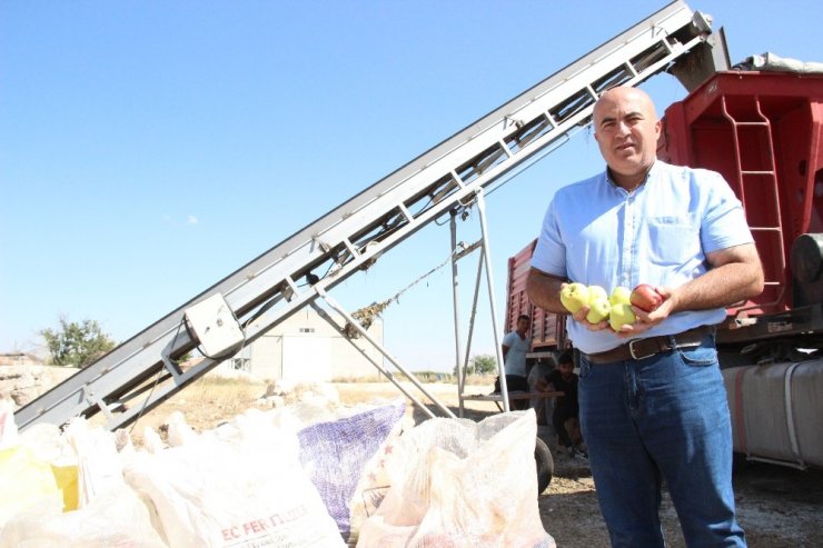 Karaman’da Iskarta Elma Alım Fiyatları Yüz Güldürüyor