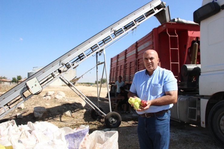 Karaman’da Iskarta Elma Alım Fiyatları Yüz Güldürüyor