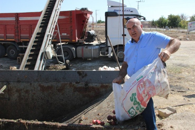 Karaman’da Iskarta Elma Alım Fiyatları Yüz Güldürüyor
