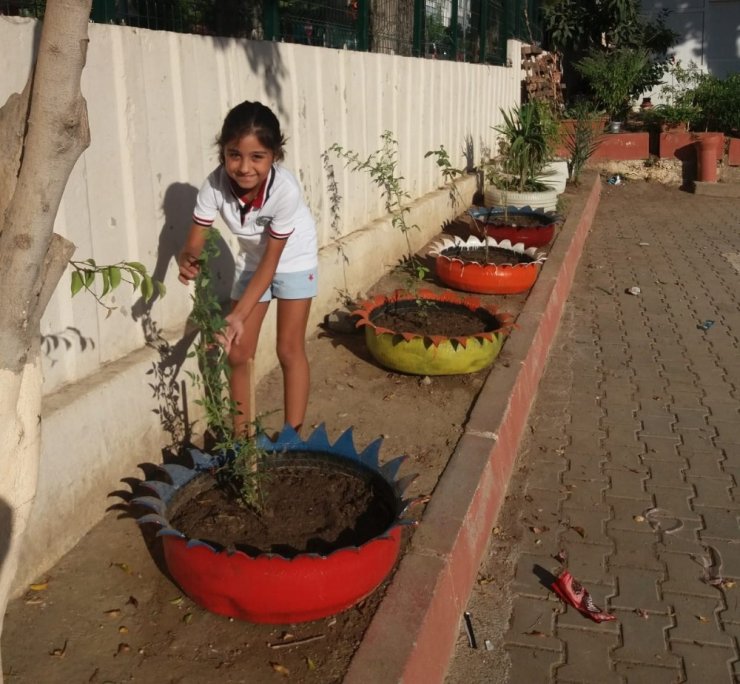 Kıbrıs İlkokulu Çiçeklerle Renklendi