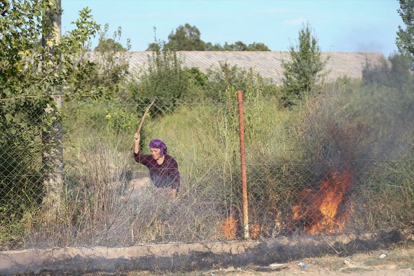 Antalya'da Sazlık Yangını