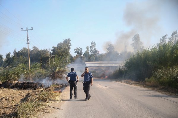 Antalya'da Sazlık Yangını