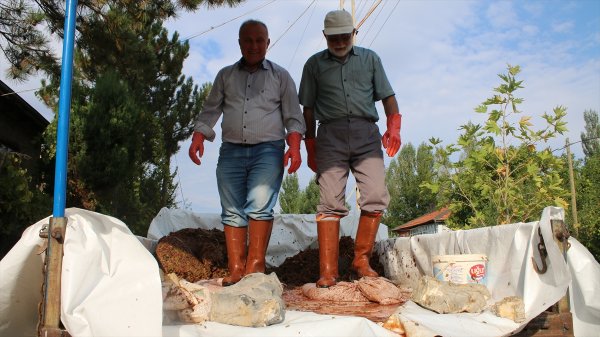 Konya'da Bağ Bozumu