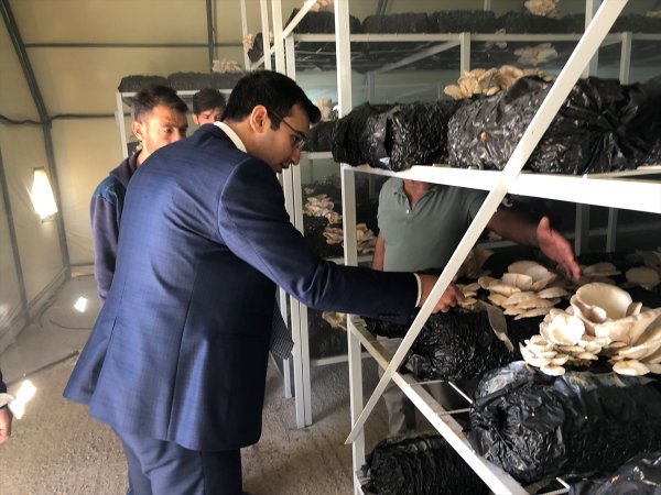 Kaymakam Taşkıran Mantar Üretim Tesisini İnceledi