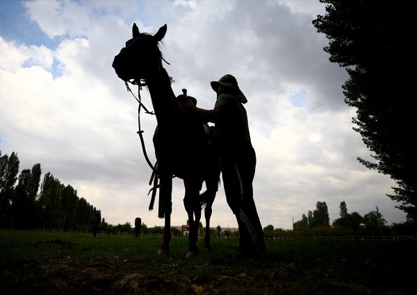 Şampiyon Yarış Atlarının Yaylası: Ereğli