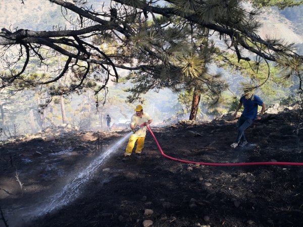 Eskişehir'de Orman Yangını