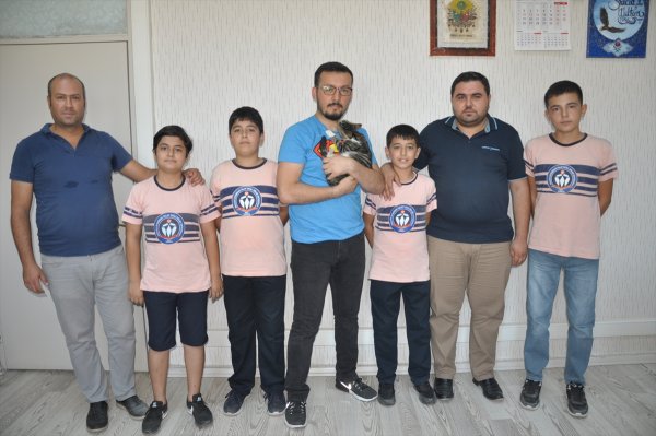 Yaralı Kedi Yavrusu Yürüteçle Hayata Tutundu