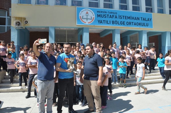 Yaralı Kedi Yavrusu Yürüteçle Hayata Tutundu