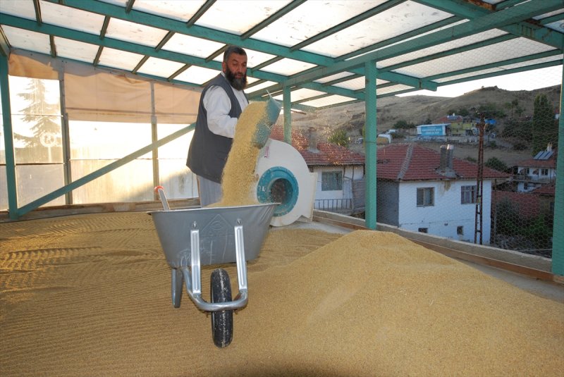 Taş Değirmende Geleneksel Yöntemlerle Bulgur Üretiyor