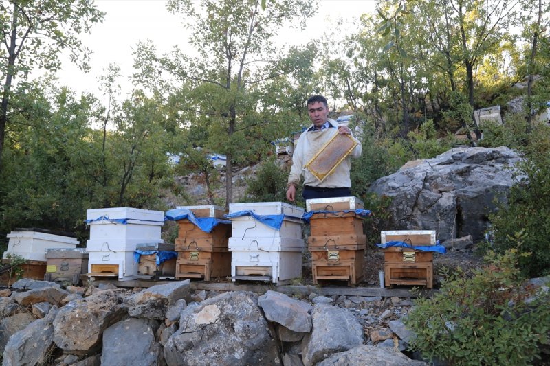 Hadim'de Bal Hasatına Başlandı