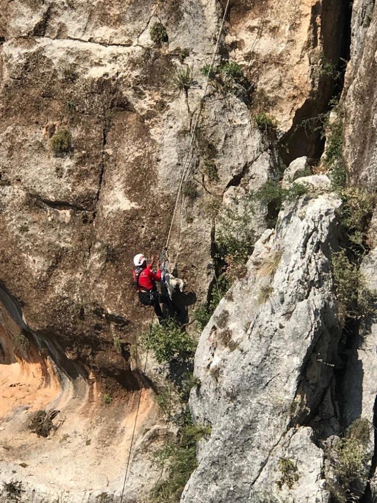 Yamaçta Mahsur Kalan Keçi, 7 Saatlik Operasyonla Kurtarıldı