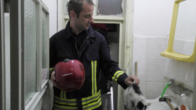 Havalandırma Boşluğuna Düşen Yavru Kediyi İtfaiye Kurtardı