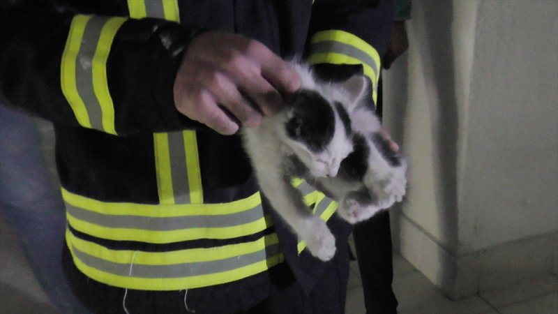 Havalandırma Boşluğuna Düşen Yavru Kediyi İtfaiye Kurtardı