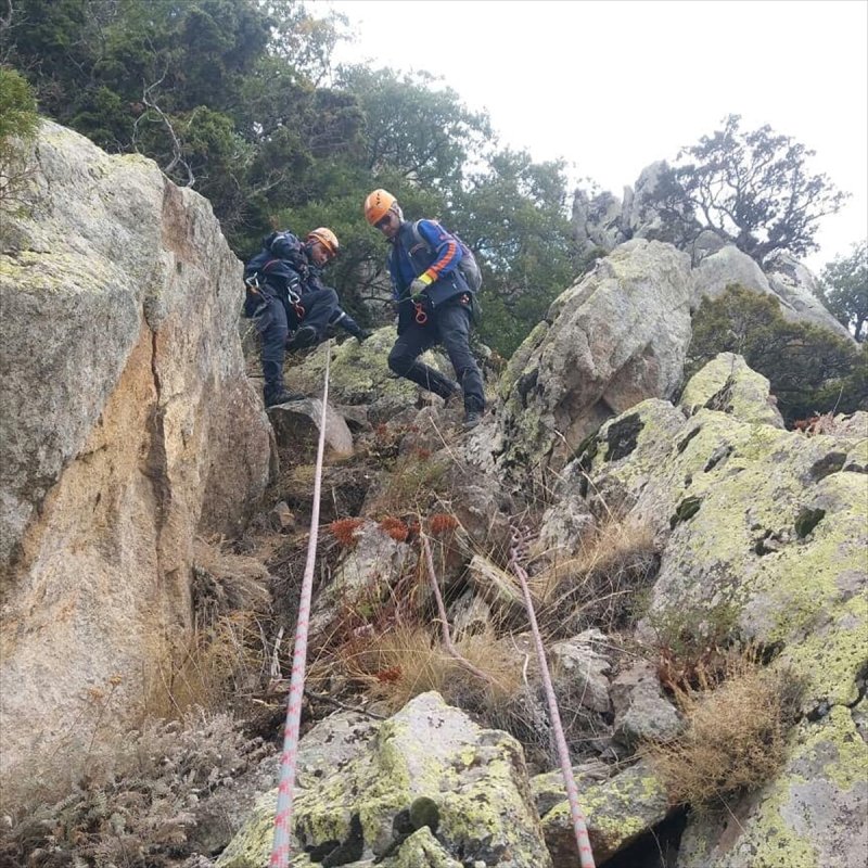 Kayalıklarda Mahsur Kalan 4 Keçi Kurtarıldı