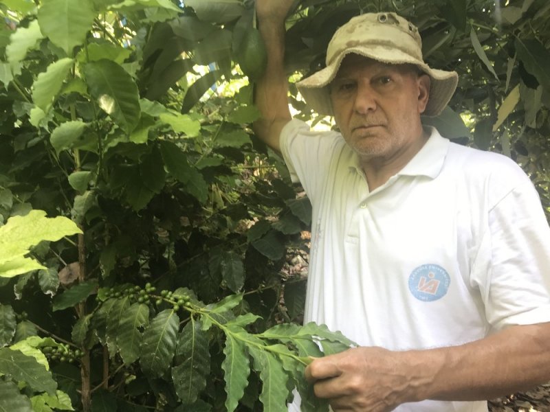 Türk Kahvesini Türkiye'de Üretmek İçin Gelecek Yıl 5 Dönümlük Bir Bahçe Kurmaya Hazırlanıyor