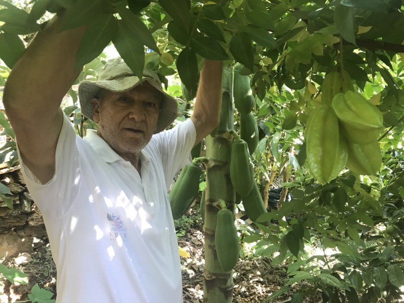Türk Kahvesini Türkiye'de Üretmek İçin Gelecek Yıl 5 Dönümlük Bir Bahçe Kurmaya Hazırlanıyor