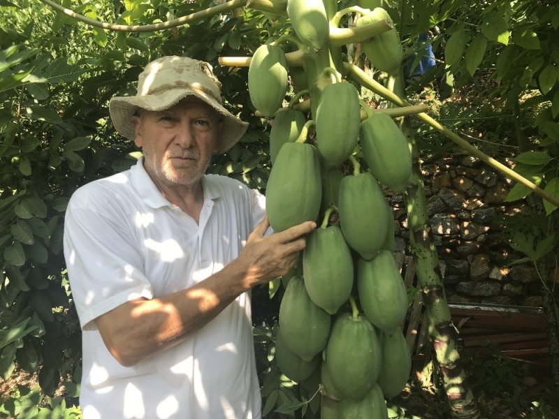 Türk Kahvesini Türkiye'de Üretmek İçin Gelecek Yıl 5 Dönümlük Bir Bahçe Kurmaya Hazırlanıyor