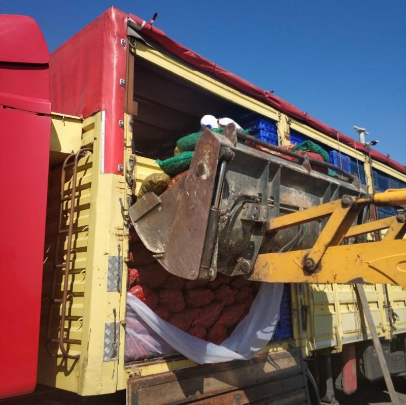 Jandarma Ekipleri, 8 Ton Çuvallanmış Midye İle Karşılaştı