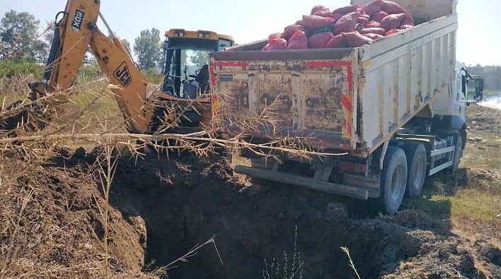 Jandarma Ekipleri, 8 Ton Çuvallanmış Midye İle Karşılaştı