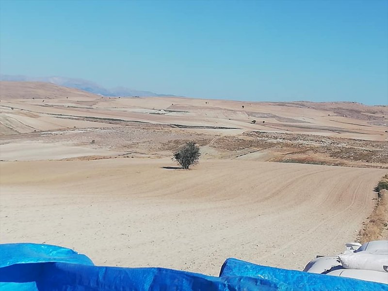 Beypazarı'nda Buğday Ekimi Başladı