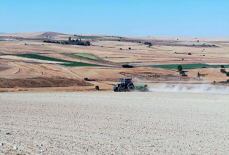 Beypazarı'nda Buğday Ekimi Başladı