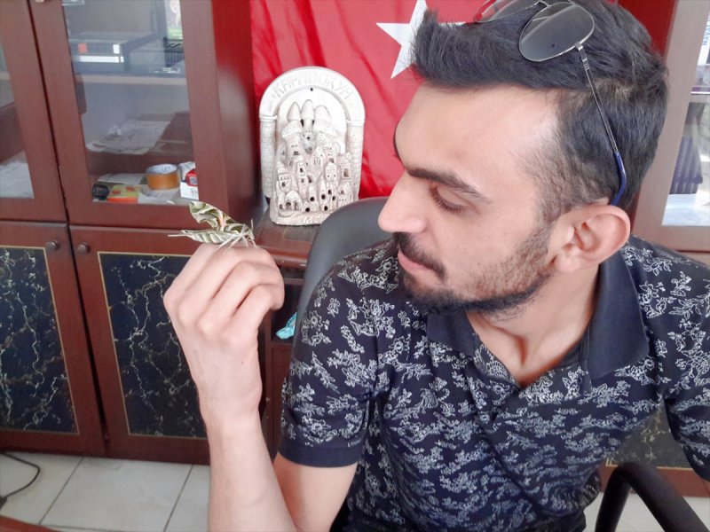 Askeri Kamuflaj Desenli 