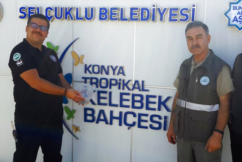 Askeri Kamuflaj Desenli 