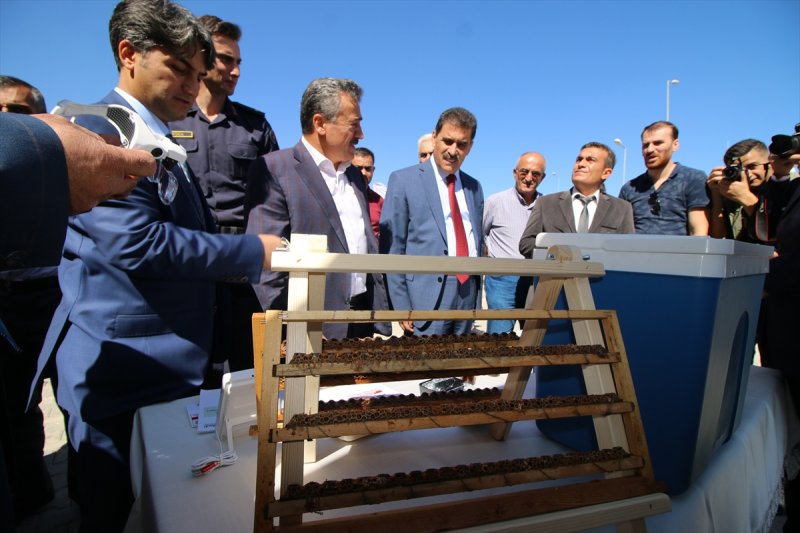 Seydişehir'de Arı Sütü Üretimi