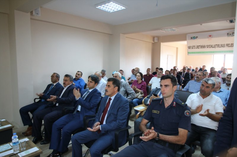 Seydişehir'de Arı Sütü Üretimi