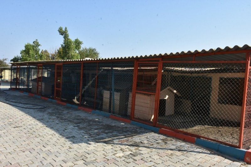 Tarsus Belediyesi, 476 Sokak Hayvanını Tedavi Etti